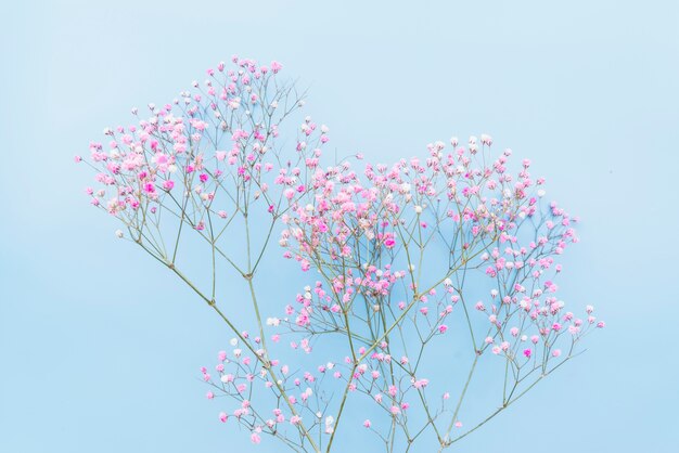 柔らかいピンクの花の小枝の束