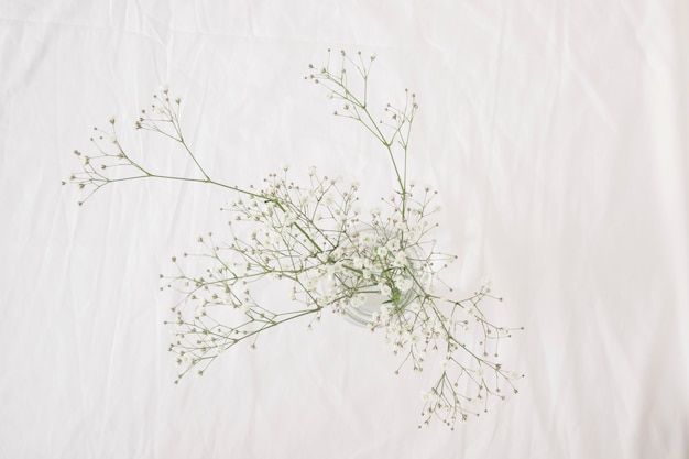 Free photo bunch of thin green plant branches with flowers in vase
