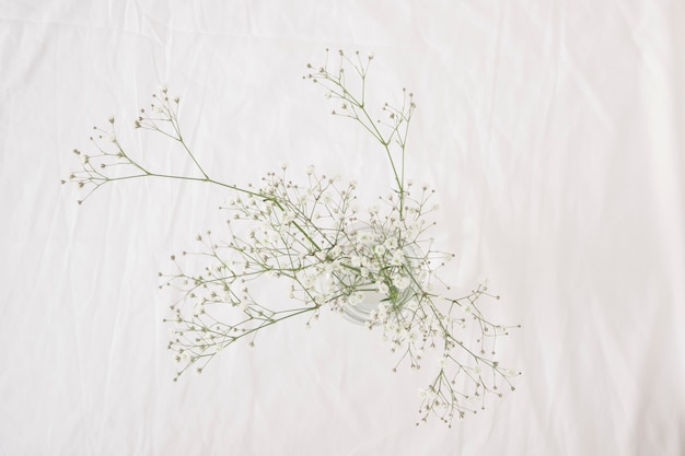 Bunch of thin green plant branches with flowers in vase