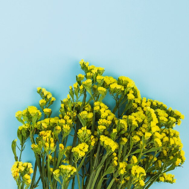 青い背景に小さな黄色の花の束