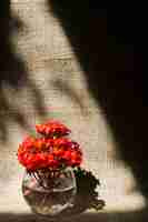 Foto gratuita mazzo di fiori vinosi in vaso con acqua