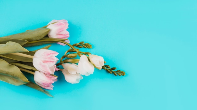 Bunch of white and pink flowers