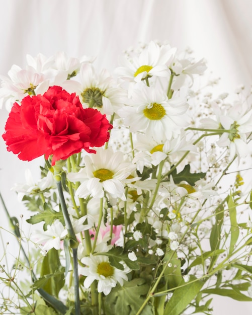 Bunch of white and red flowers with green leaves