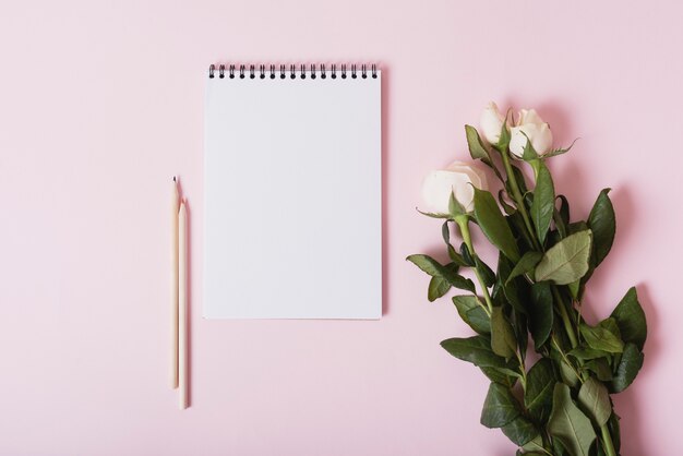 Bunch of white roses with spiral notepad and pencils on pink background