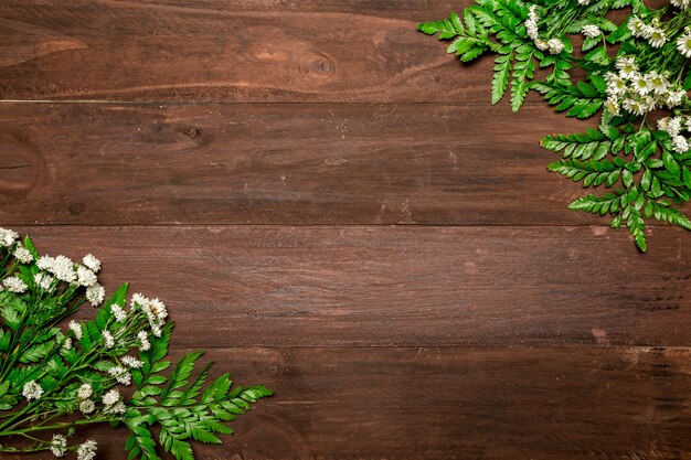 Bunches of chamomiles on wooden table