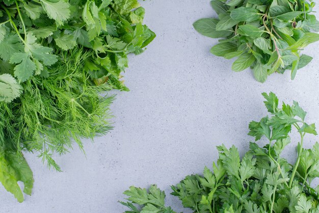 Bundles of mint, parsley, coriander and dill on marble background.