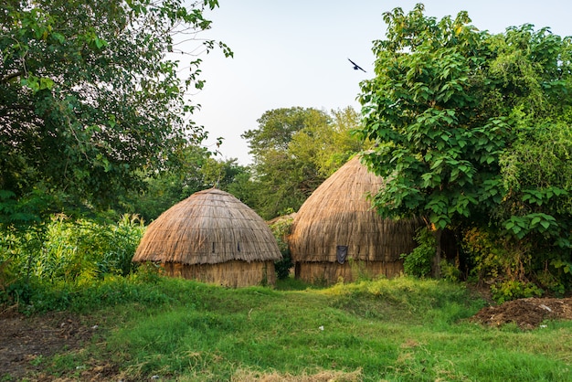 Bungalows in the countryside