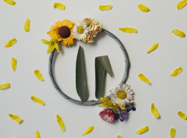 Bunny rabbit ears made of natural green sage leaves in frame with flowers yellow petals