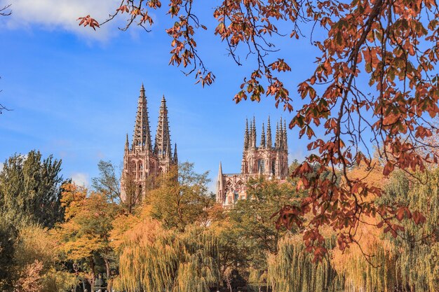 스페인 도시의 나무로 둘러싸인 부르고스 대성당