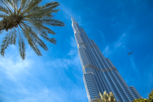 Download Free Burj Khalifa Images Free Vectors Stock Photos Psd Use our free logo maker to create a logo and build your brand. Put your logo on business cards, promotional products, or your website for brand visibility.