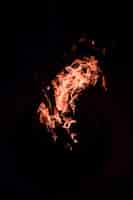 Free photo burning fire isolated on darkness