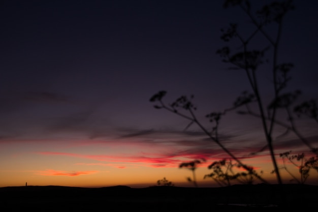 Foto gratuita cielo in fiamme