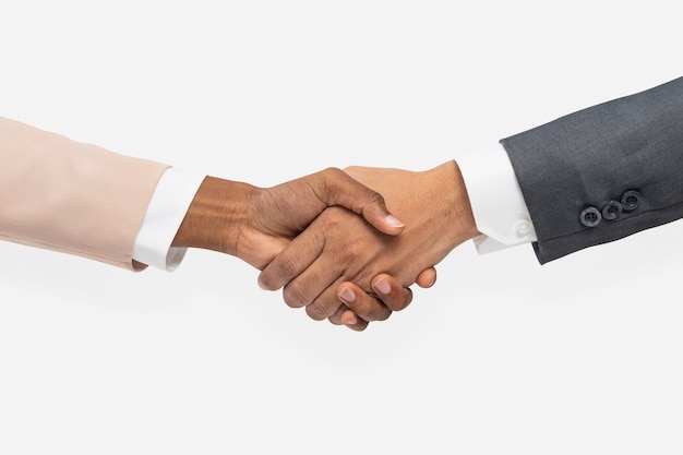 Free photo business agreement handshake hand gesture