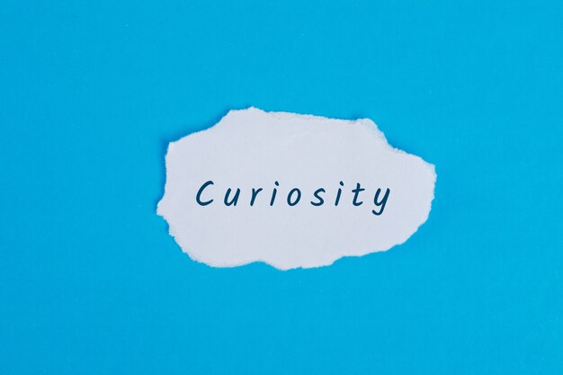 Business concept with curiosity word on torn paper on blue table flat lay.