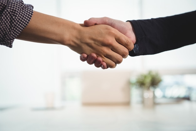 Business executives shaking hands with each other