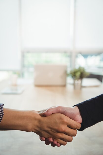 Business executives shaking hands with each other