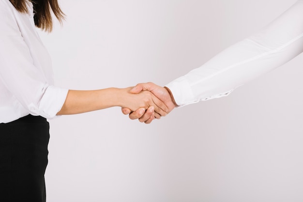 Business handshake concept
