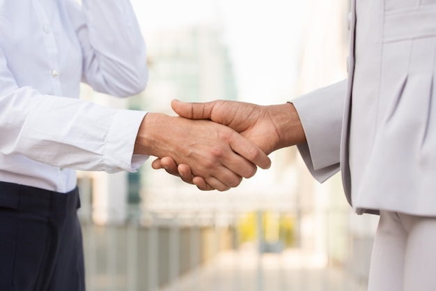 Business professionals shaking hands