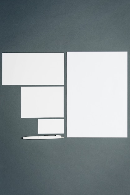 business template with cards, papers, pen.