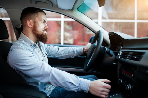 businessman business automobile car backseat