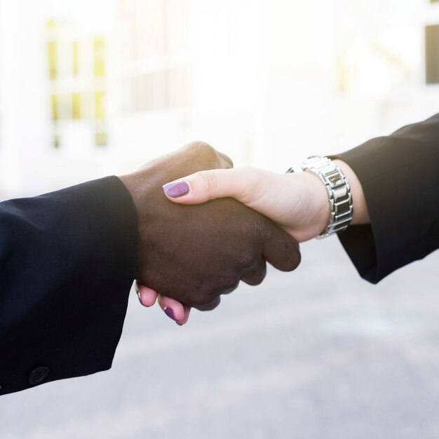 Businessman and businesswoman shaking hands