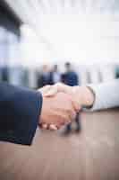 Free photo businesspeople shaking hands