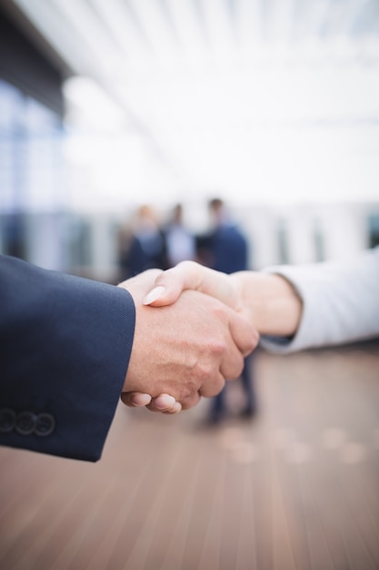 Businesspeople shaking hands