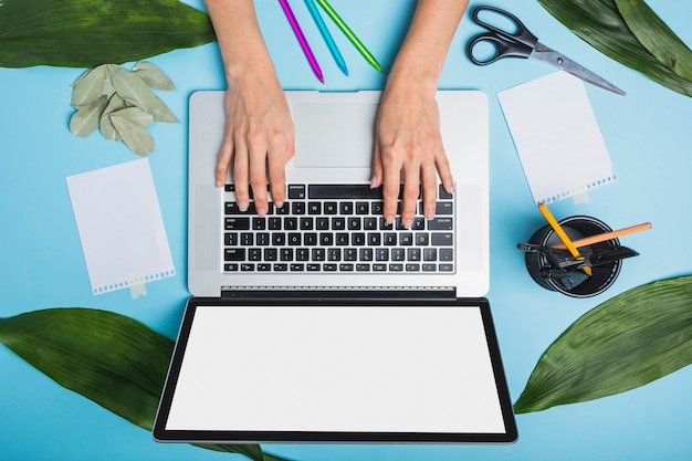 businessperson's hand using laptop with green leaves and stationeries on blue background