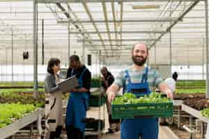 Foto gratuita gruppo di agricoltori impegnati in una moderna serra bio-agricola imprenditoriale utilizzata per la coltivazione di verdure ecologiche naturali e salutari. agricoltura rigenerativa utilizzando fertilizzanti per il suolo privi di pesticidi