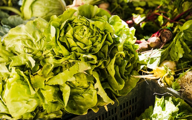 Butterhead lettuce with green vegetables on market stall at organic farmers grocery store