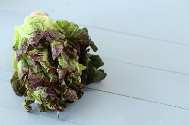 Cabbage on blue table