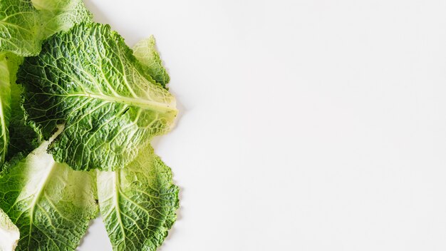 Cabbage leafs on white background