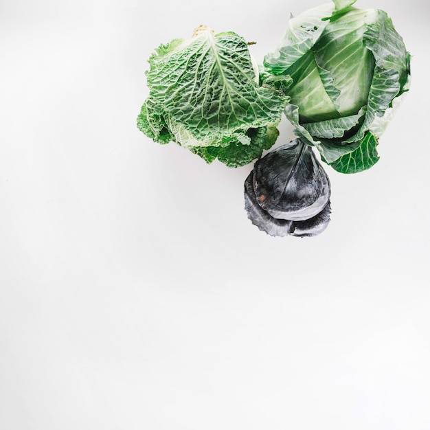 Free photo cabbages on white background