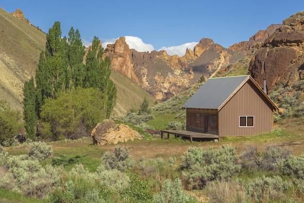 Cabin on the gulch