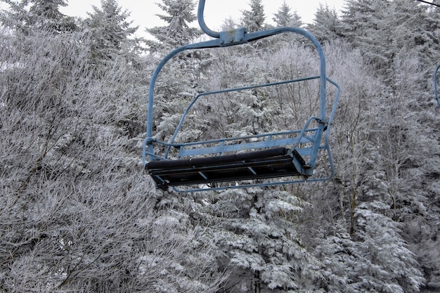 Cable car with snowy trees in the background