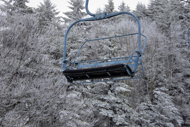 雪の木を背景にしたケーブルカー