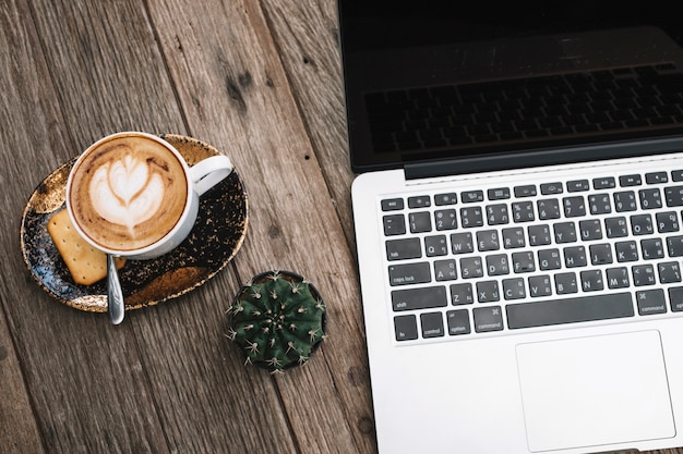 Cactus and coffee near laptop