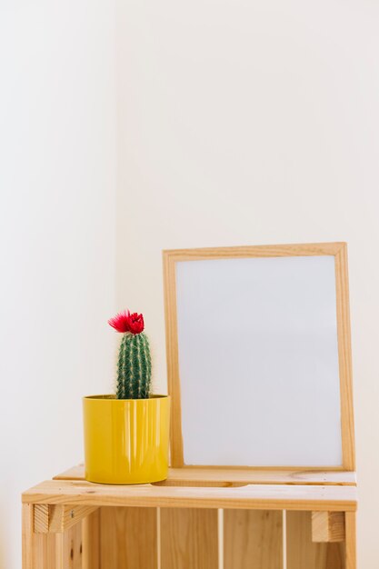 Cactus and frame