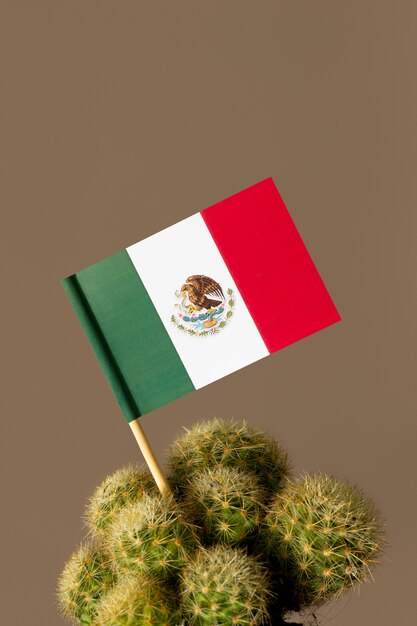 5月5日のサボテンとメキシコの旗