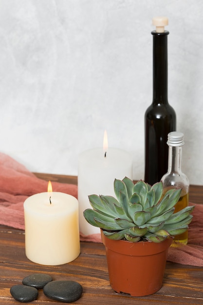 Cactus plant; lighted candle; la stone and essential oil bottle on wooden desk