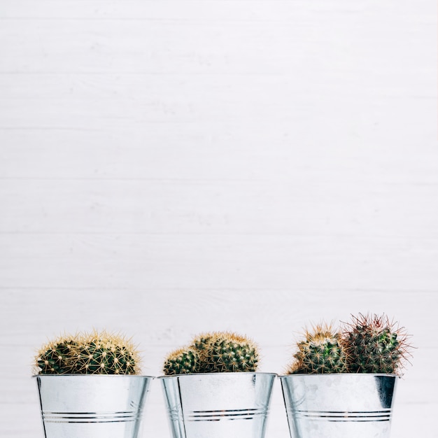 Free photo cactus pot plants against wooden background