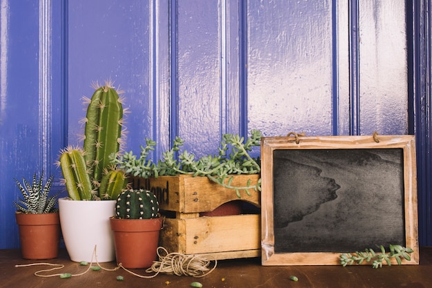 Funky Finds Quirky Home Decor