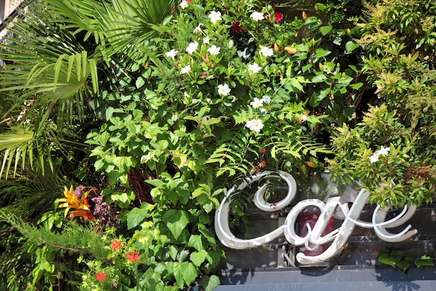 Free photo cafe sign in paris with flowers