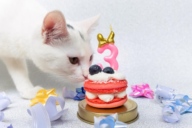 Композиция торта макарон с кошкой номер три в лентах торта и блестящим серебряным фоном
