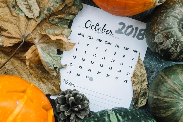 カボチャと葉の間に横たわる2018年10月のカレンダー