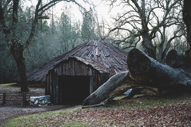 California Native American Ceremonial Roundhouse with a big felled tree  an the side