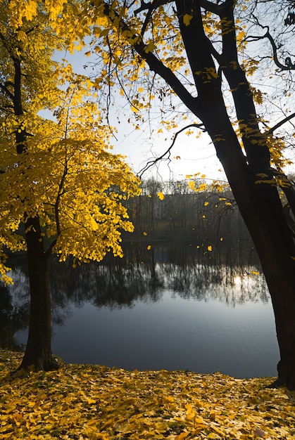 Foto gratuita autunno calmo