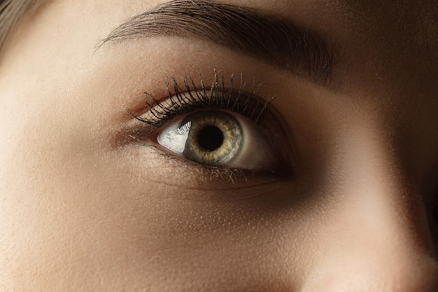 Calm. Close up of face of beautiful caucasian young woman, focus on eyes.