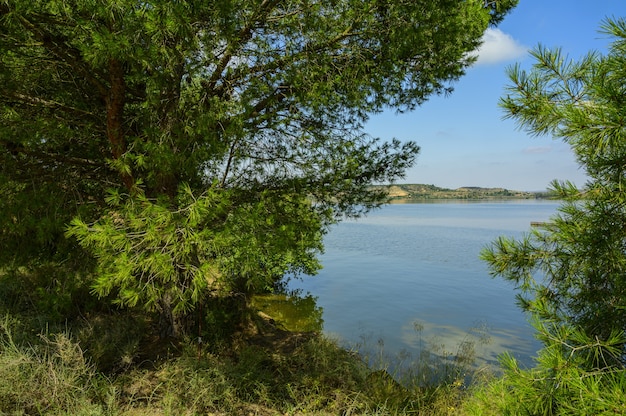 Спокойное озеро в окружении холмов и деревьев под голубым небом