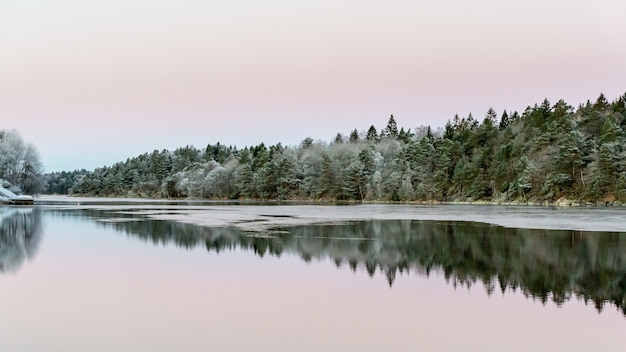 Calm water and reflections from trees and sky.